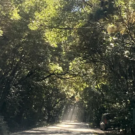 דירה Casa Mimo *